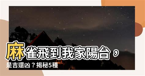 麻雀死在陽台|【麻雀飛到陽台】麻雀飛到我家陽台，是吉還兇？揭秘5種鳥飛入。